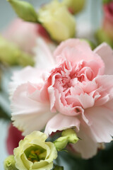 Fototapeta premium Bouquet with pink carnations and eustoma