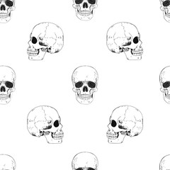 Human skeleton hand drawing