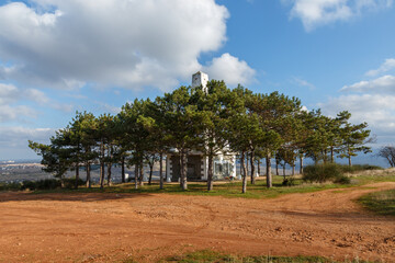 Obraz premium landscape with trees