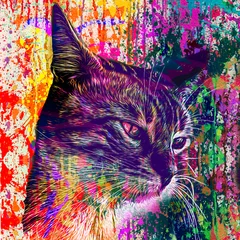 Deurstickers abstract colorful cat muzzle illustration, graphic design concept © reznik_val