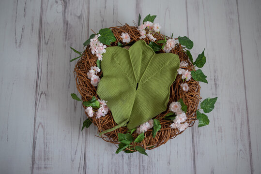 Newborn digital background with  leaves, flowers and a circle of dry wood