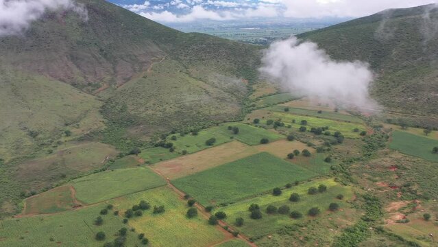 Aerial view of a crop field in Oaxaca