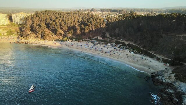 Aerial orbit of people relaxing in sand shore between turquoise sea and pine woods at sunset, El Canelillo beach, Chile