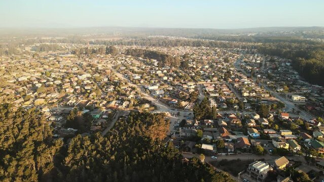Aerial dolly in of houses and pine woods in small city near sea shore at golden hour in El Canelillo beach, Chile
