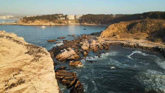 Aerial dolly in of birds resting in Pe&ntilde;a Blanca rocky islet and sea waves hitting the coast of El Canelillo, Chile at sunset