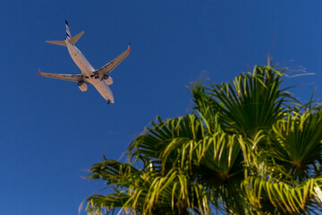 Fototapeta premium airplane in the sky