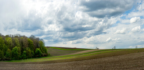 spring fields, colored lines and hills near the forest under a beautiful sky with contrasting clouds. The concept of agriculture in the spring