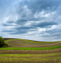 colored lines and hills of spring fields under a beautiful sky with contrasting clouds. The concept of agriculture in the spring