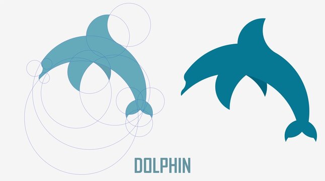 circle guidline illustration of dolphin