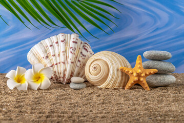 Fototapeta na wymiar Seashells on the sand. Marine still life. Blue sea background. Direct view.