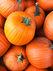 pile of pumpkins