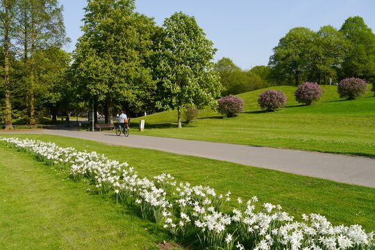 Freizeitpark Rheinaue in Bonn