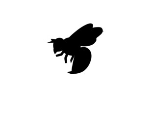 bee icon illustrator