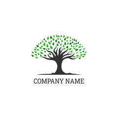 Obraz premium tree logo with leaves vector design