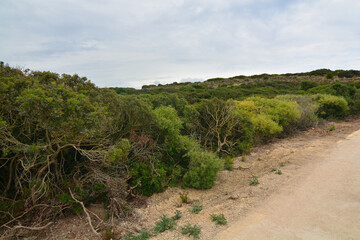 parco archeologico di selinute regione sicilia 