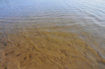 Lake beach grass sky