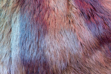 Fur skin with long hair