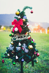 christmas tree on the snow