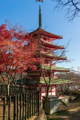Views of Mt Fuji from the Chureito Pagoda, one of the best places from which to view this landmark....