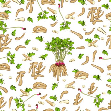 Seamless background of arracacha. Whole, half, sliced arracacha, arracacia with leaves. Organic vegetables. Vector illustration in cartoon style isolated on white background. Seamless pattern
