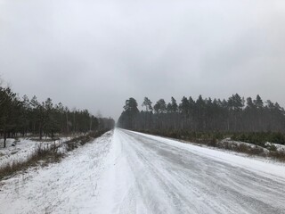 Winter road near forest