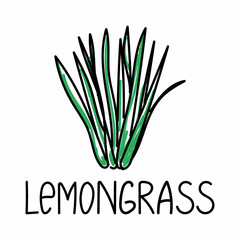 Lemongrass, hand-drawn doodle-style element. Logo and emblem packaging design template - spices - lemongrass. Logo in a trendy linear style.