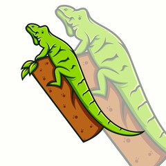 Lizards vector, small green reptiles, common species of lizards. Cartoon illustration animal vector