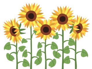 vector group of flowering sunflowers