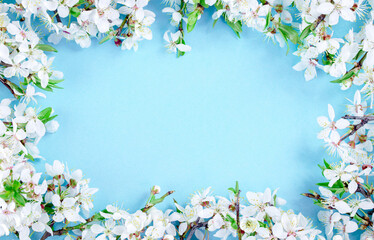 Fototapeta na wymiar Spring frame banner, branches of blossoming fruit tree branch on blue background. Many flowers, copy space border banner.