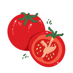 Modern tomato in hand drawn style. Vector illustration