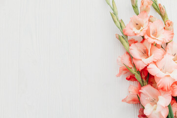 Floral greeting card template. Beautiful gladiolus flowers on rustic white wood, flat lay with space for text. Happy Mothers day and Womens day. Stylish red pink gladioluses. Hello spring