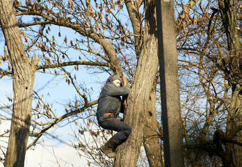 Young guy climbing up a tree