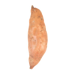 Whole fresh sweet potato isolated on white