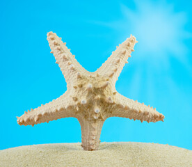 Summer background. Starfish in the sand on the beach, blue sky and sun.