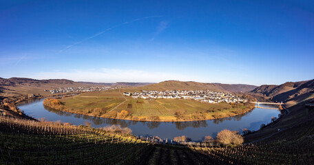 Naklejka premium scenic moselle river loop with village Trittenheim seen from Leiwen