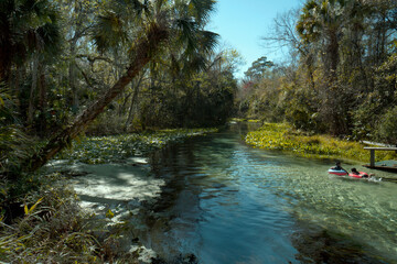 Kelly Park - Rock Springs in Apopka Florida which is about a 30-minute drive northwest of downtown...