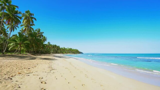 Cuban peninsula with palm sandy beach on a sunny day. Blue waves of the ocean and white sand of the coast. Clear blue sky seascape. Tropical island nature.
