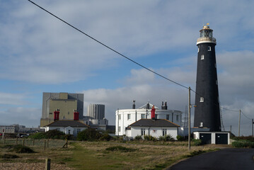 Allsorts at Dungeness.