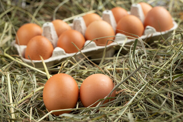 Chicken eggs in a tray and in hay.
