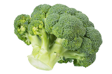 Fresh broccoli isolated on white background. Healthy organic food.