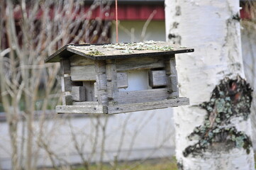 bird house on a tree