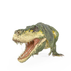 Obraz premium tyrannosaurus rex is getting ready to jump in white background