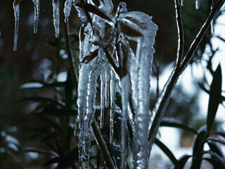 Dramatic icecicles hanging from a roof with a dark green background