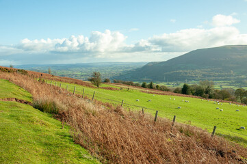 Fototapeta premium Hergest ridge in the summertime.