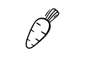 Carrot drawn with a black outline. Vector graphics. Vector illustration