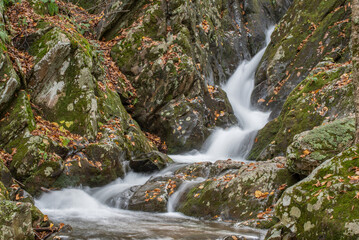 Lower Dark Hollow Falls, Shenandoah National Park, Virginia