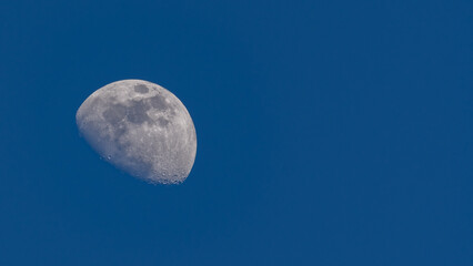 Luna, wax gibbous moon 73% in the daylight in the blue sky