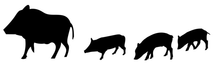 cinghiale con cuccioli cinghialini sagome selvatici animali fauna cacciagione