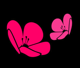 set fiore ciliegio ceraso ape miele primavera natura © giulia