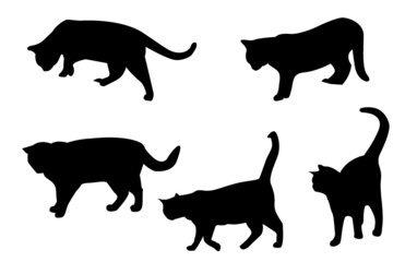 set sagoma gatto felino micio animale domestico famiglia miao casa gioco